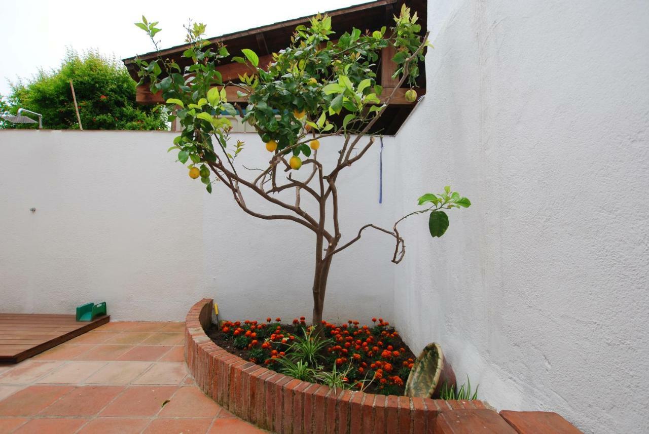 The Painter'S Home Vilassar De Mar Dış mekan fotoğraf